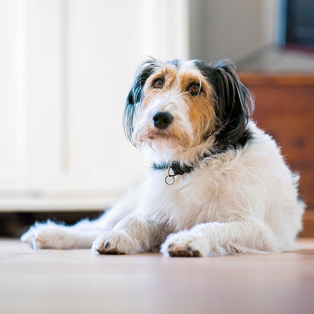 8 common behavioural issues and how to tackle them-mobile