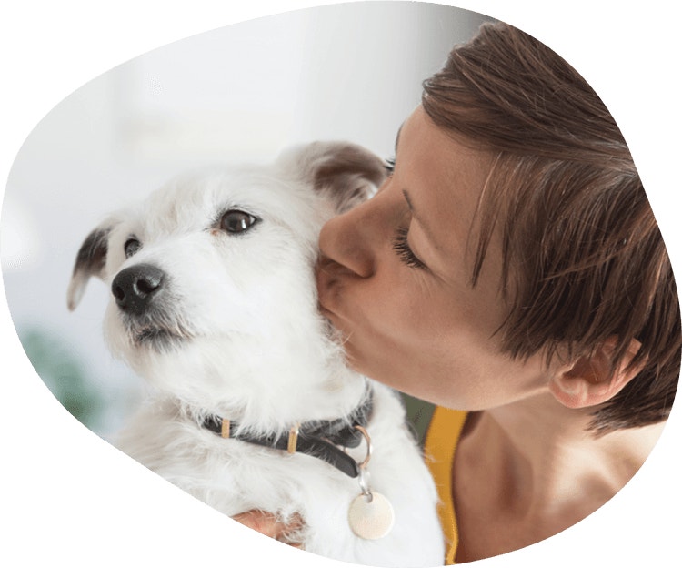 Why are chews for dogs so important