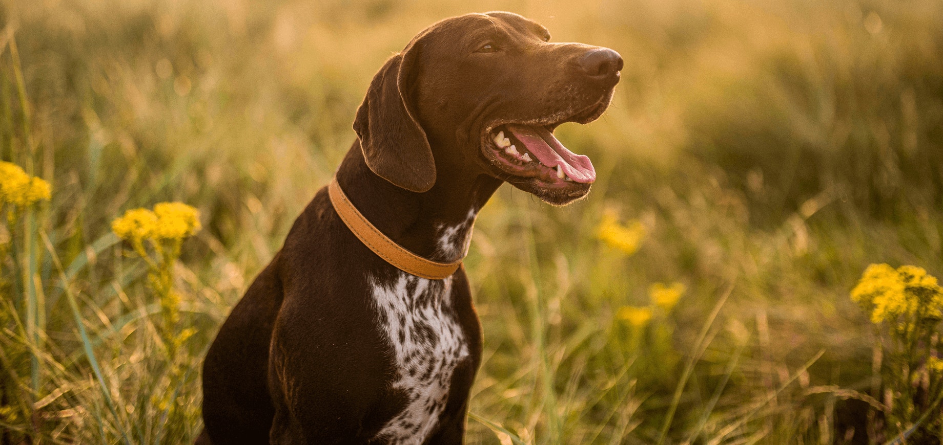 The dos and don’ts