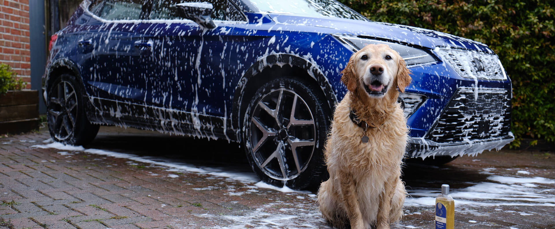 multivitamin hero dekstop