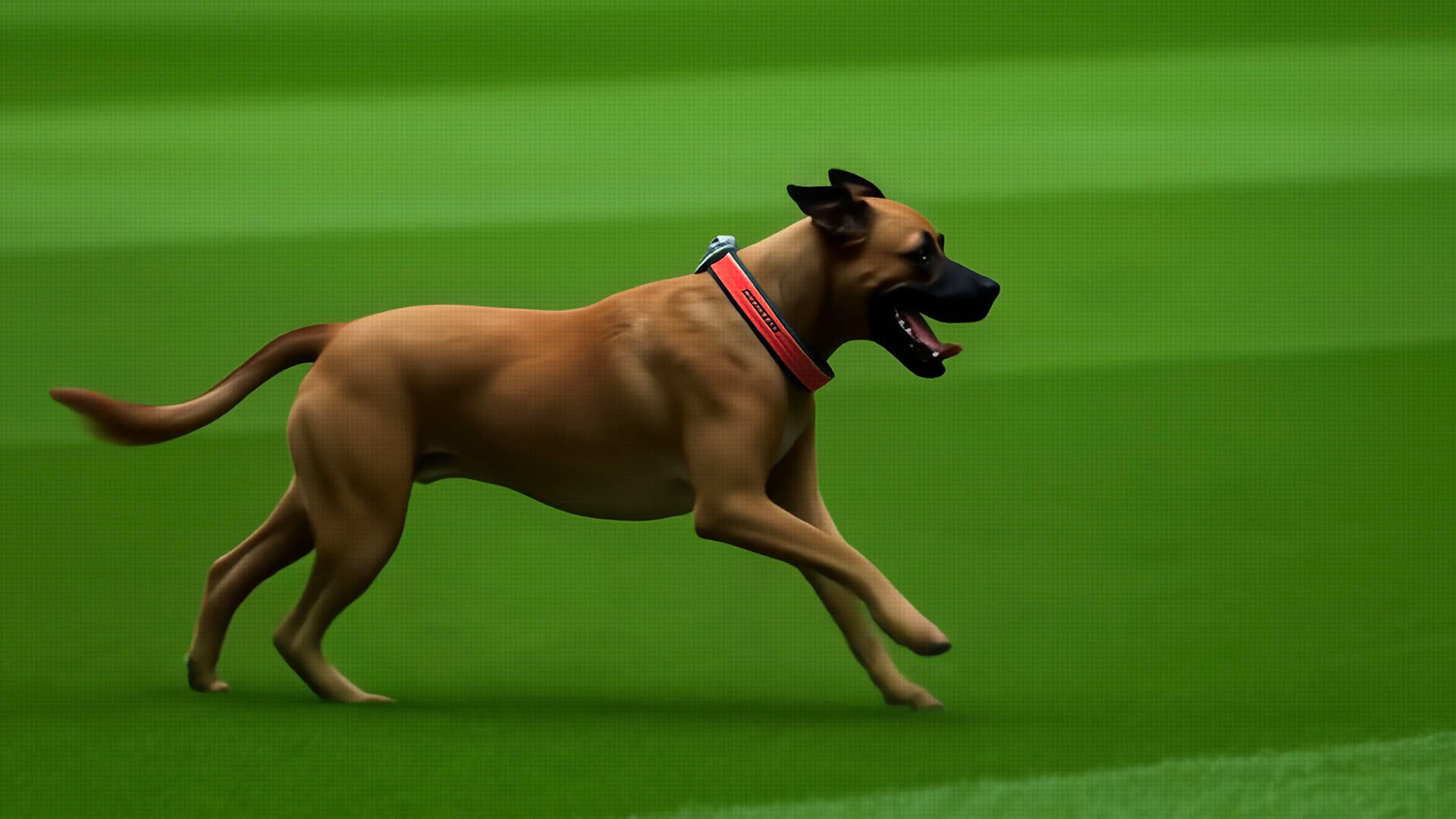 E-doption landing hero image