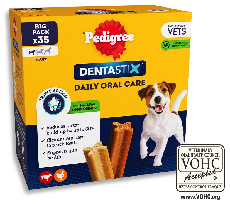 A packshot of Pedigree Dentastix dental chews with a jack russell terrier on the box.