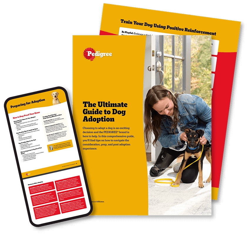 Screenshot previews of the Ultimate Guide to Dog Adoption