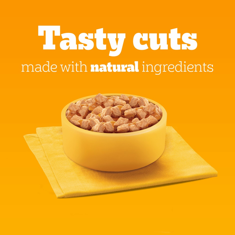 PEDIGREE® Adult Wet Dog Food Mixed Selection in Gravy 6 x 400g Can