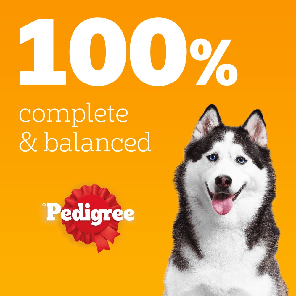 PEDIGREE® PROTEIN +™ Adult Wet Dog Food  Selection in Jelly Pouch 12x85g, 40x85g