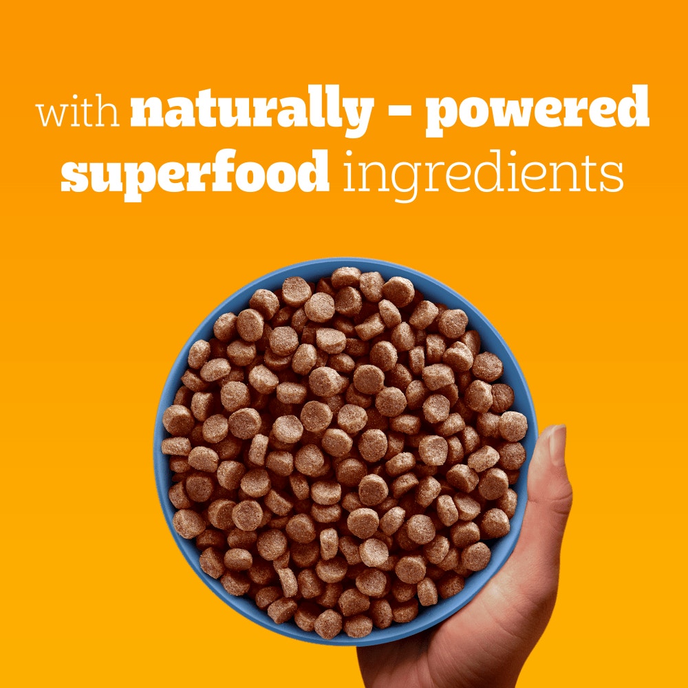 PEDIGREE® COMPLETE™ Junior/Puppy Dry Dog Food Poultry and Vegetables 12kg, 3kg