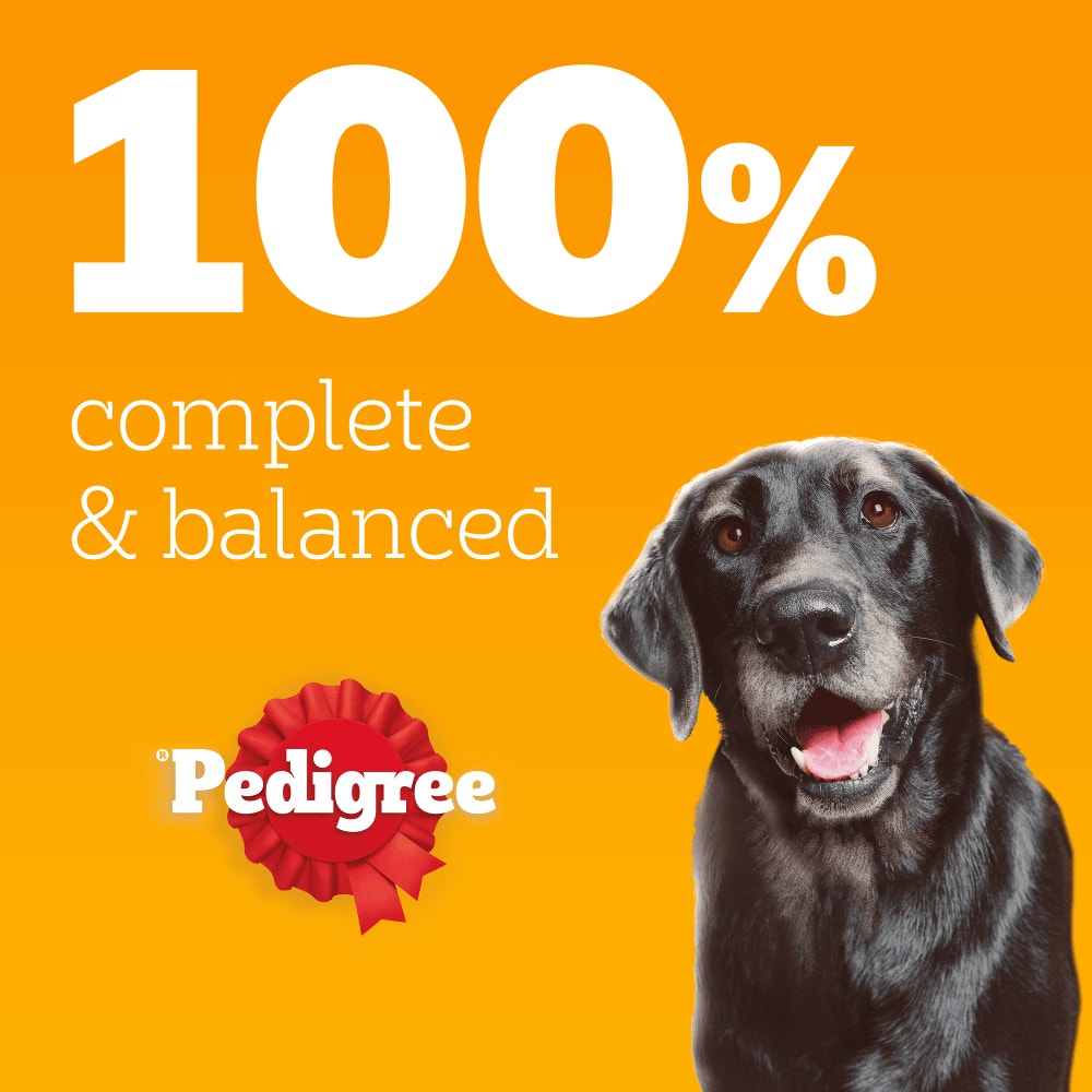 PEDIGREE® Senior Wet Dog Food Mixed Selection in Loaf 6 x 400g Cans