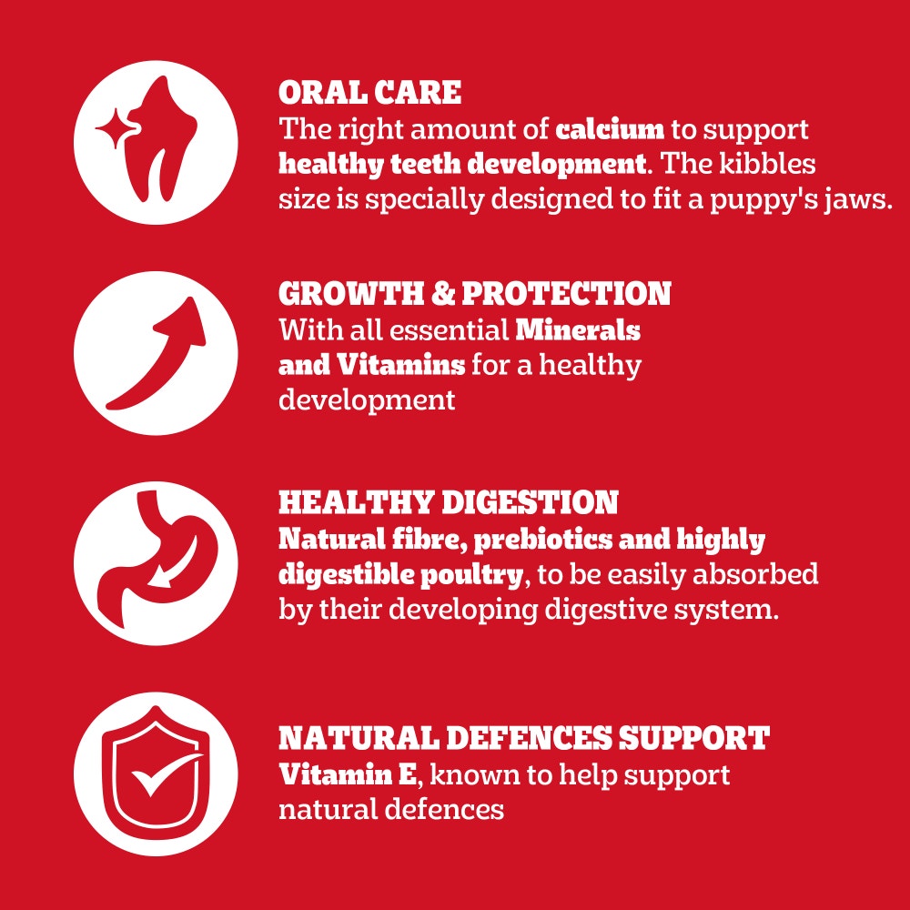 PEDIGREE® COMPLETE™ Junior/Puppy Dry Dog Food Poultry and Vegetables 12kg,3kg