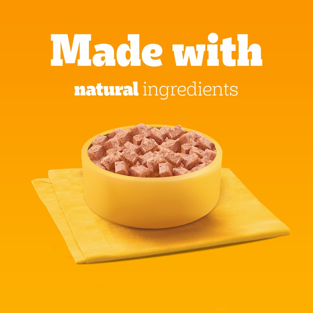 PEDIGREE® Senior Wet Dog Food Mixed Selection in Loaf 6 x 400g Cans