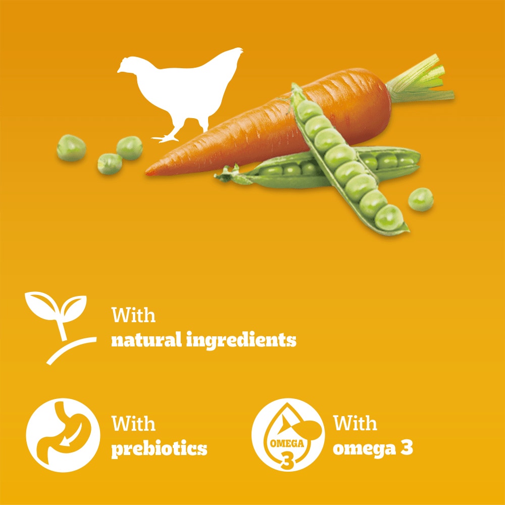 PEDIGREE COMPLETE Senior Dry Dog Food Poultry and Vegetables 3kg