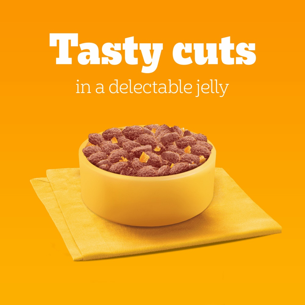 PEDIGREE® Senior Wet Dog Food Mixed Selection In Jelly 12 x 100g, 40 x100g Pouch