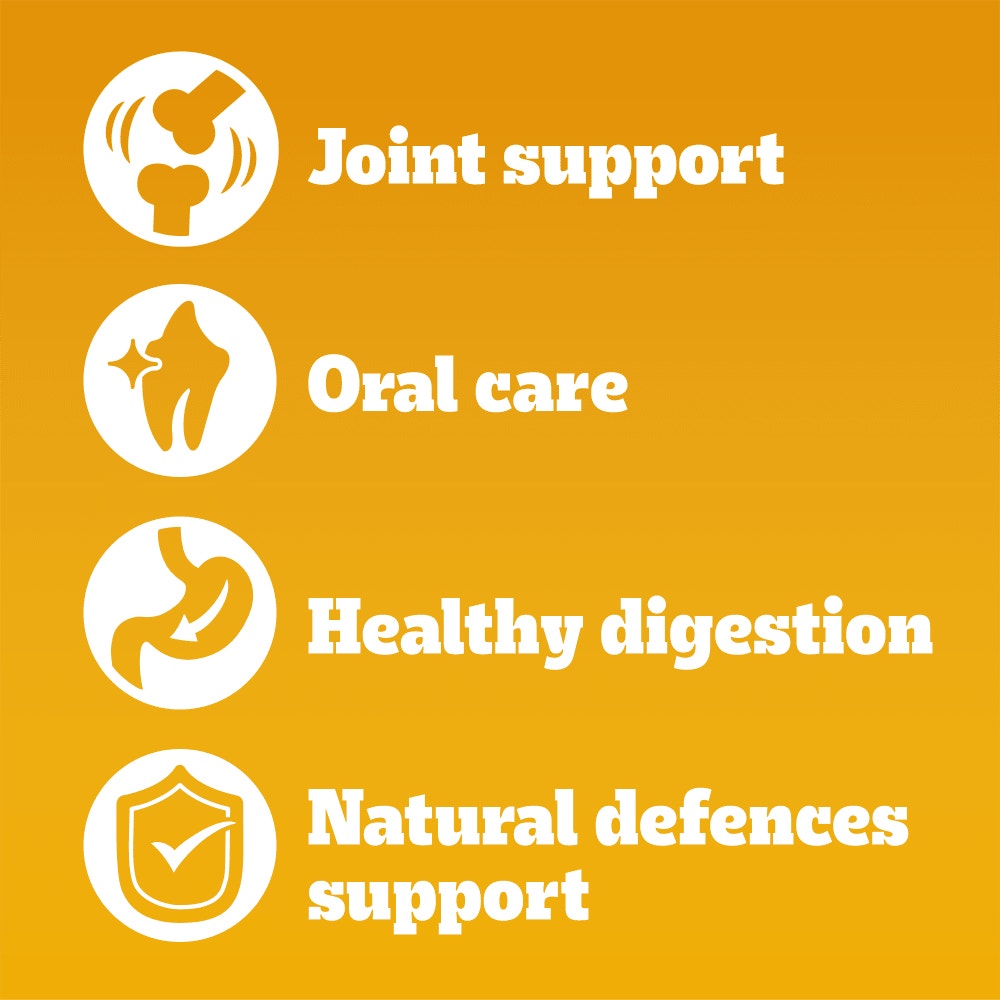 PEDIGREE COMPLETE Senior Dry Dog Food Poultry and Vegetables 3kg