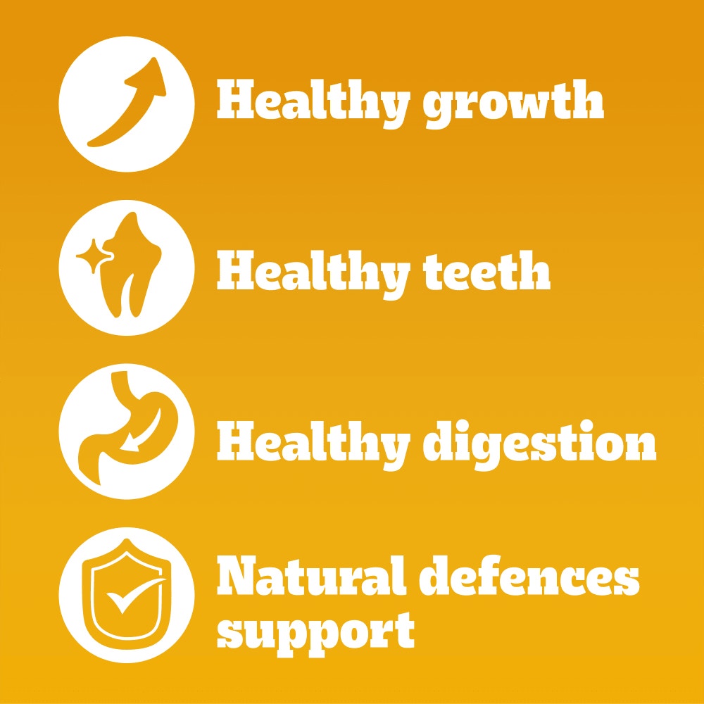 PEDIGREE COMPLETE Junior/Puppy Dry Dog Food Beef and Vegetables 1.4kg