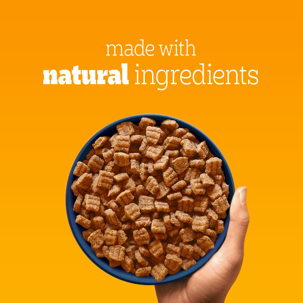 PEDIGREE® TENDER GOODNESS™ Dry Adult Small Dog Poultry 800g