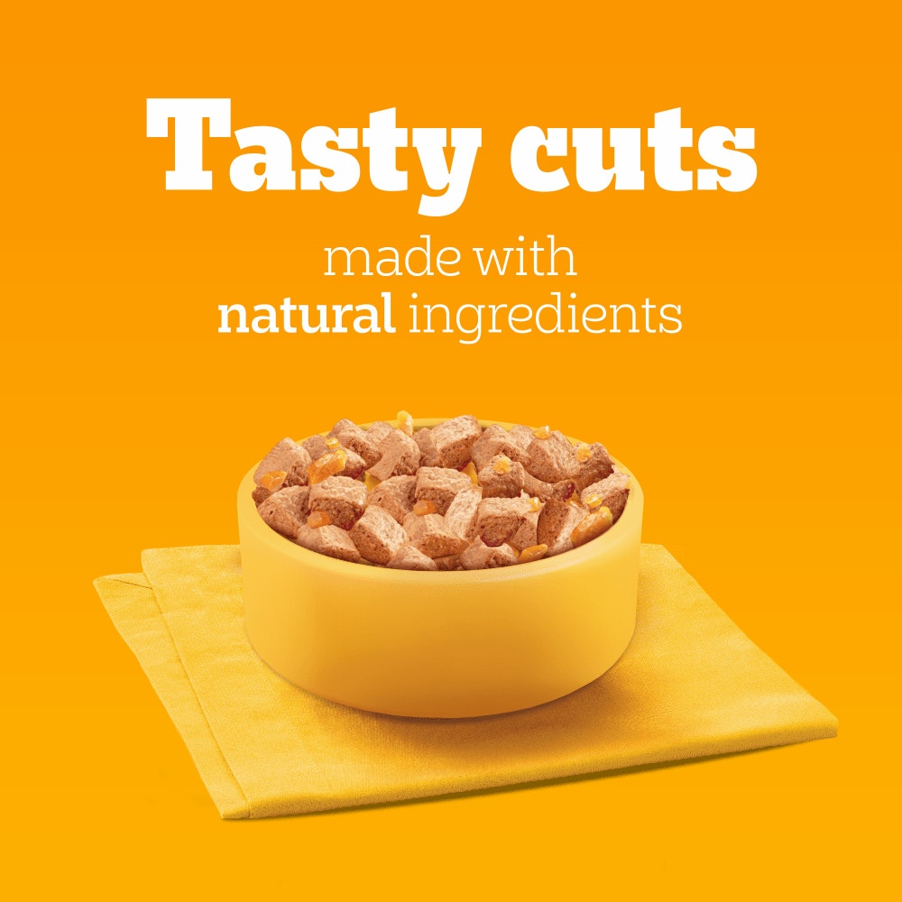 PEDIGREE® Adult Wet Dog Food Mixed Selection in Jelly 6 x 400g Can