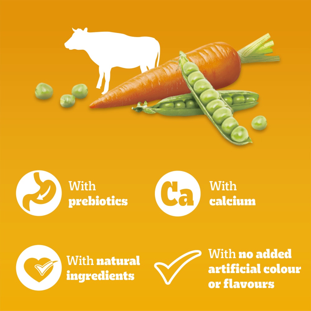 PEDIGREE COMPLETE Junior/Puppy Dry Dog Food Beef and Vegetables 1.4kg