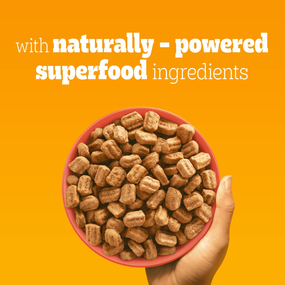 PEDIGREE® COMPLETE™ Adult Dry Dog Food Beef and Vegetables 12kg