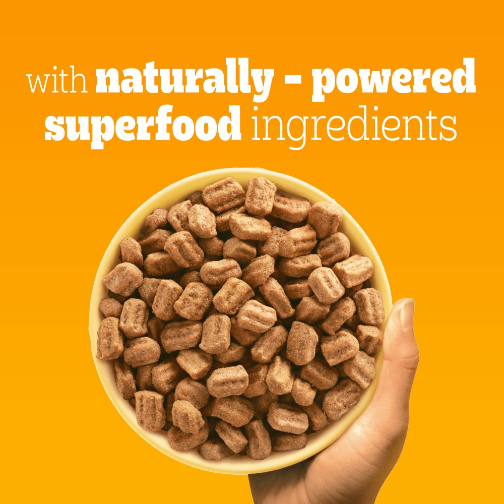 PEDIGREE® COMPLETE™ Adult Dry Dog Food Poultry and Vegetables 12kg, 3kg, 1.4kg