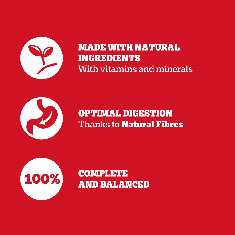 PEDIGREE® Adult Wet Dog Food Chunks in Gravy with Chicken 400g Can