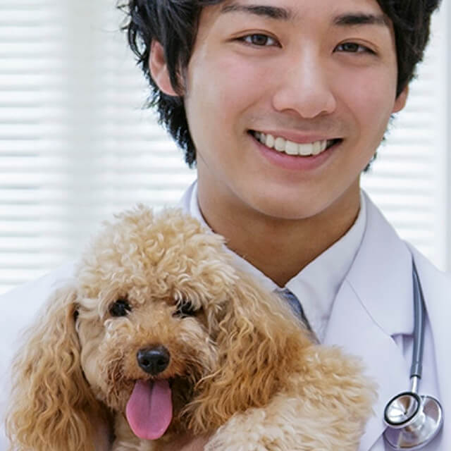 Is my dog or puppy ill?