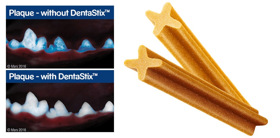 Pedigree DentaStix product