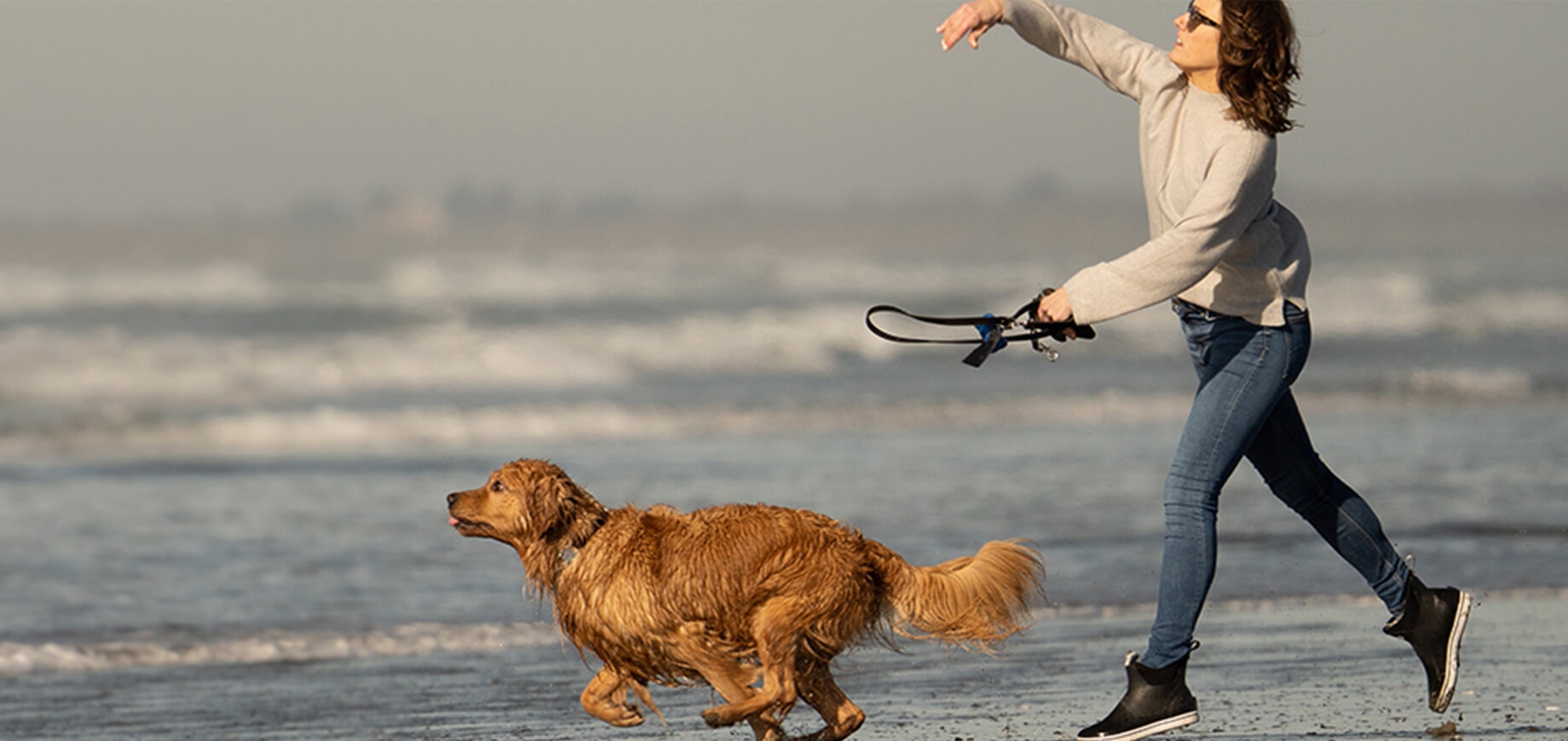 Why owning a dog can be good for your health