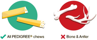 Some chews for dogs can be real tooth breakers!