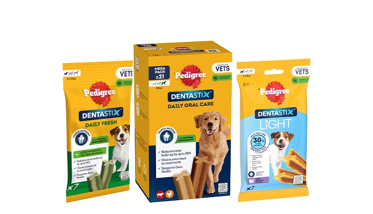 Dog Chews For Dog Dental Care