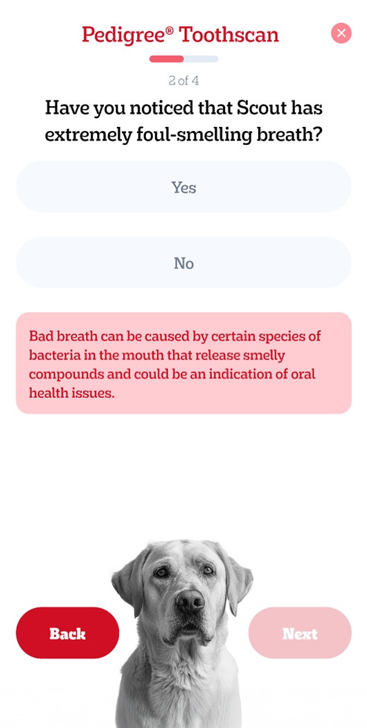 Pedigree Answer Questions