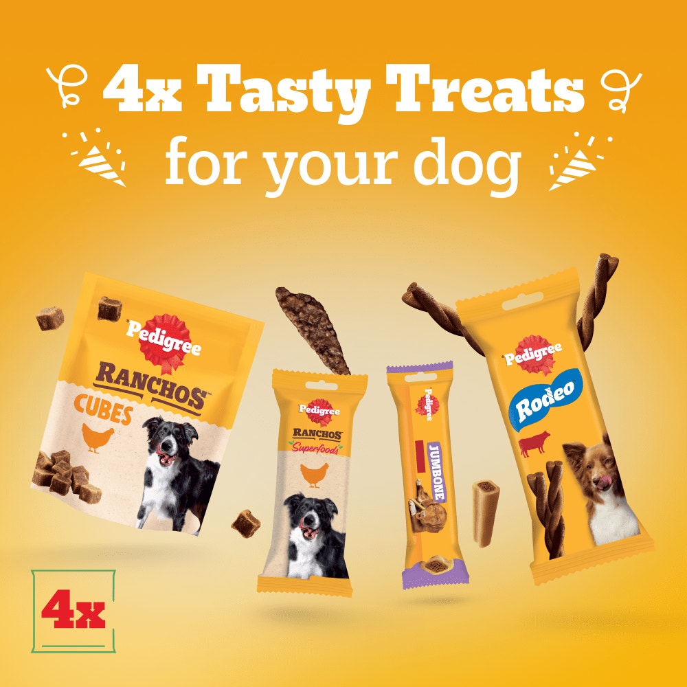 PEDIGREE Party Pack Dog Treat Selection Box 241g