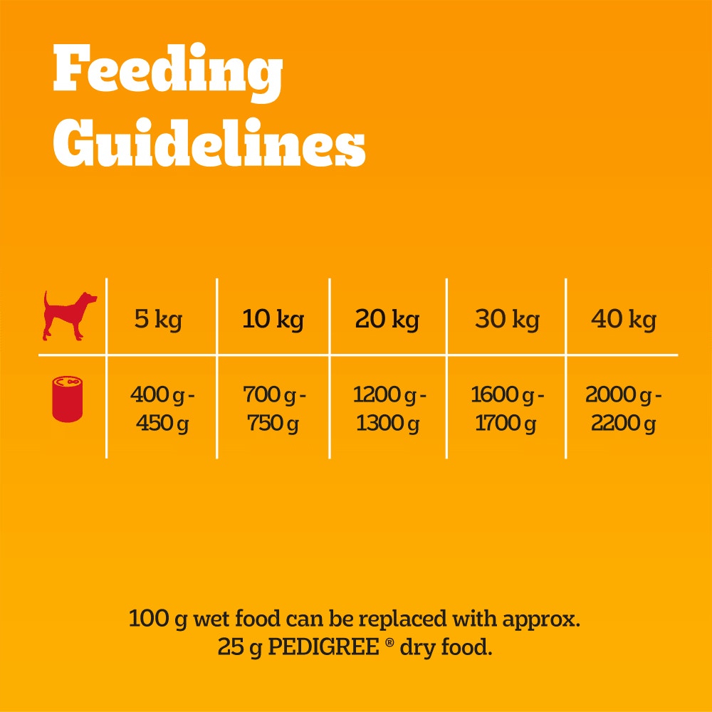 PEDIGREE® Adult Wet Dog Food Mixed Selection Chunks in Jelly 6 x 385g Can