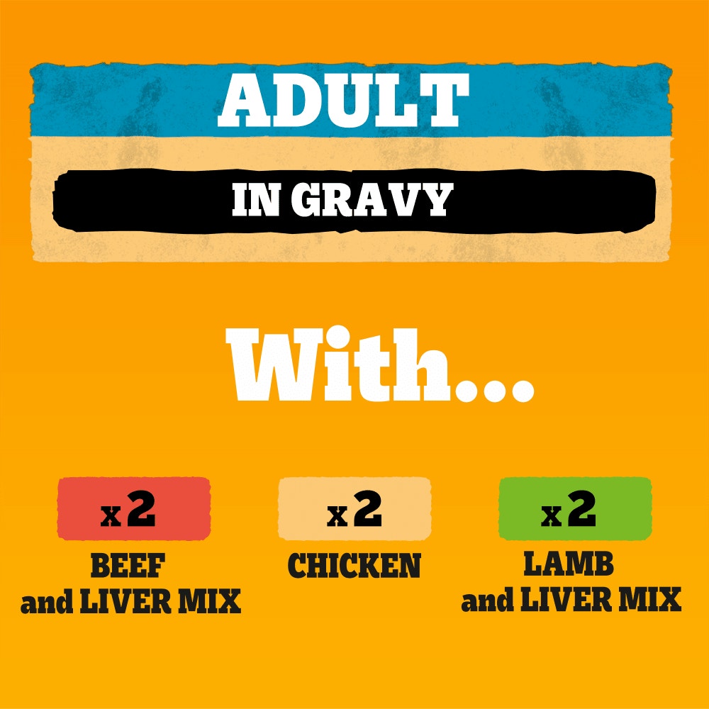 PEDIGREE® Adult Wet Dog Food Mixed Selection in Gravy 6 x 400g,12 x 400g Can