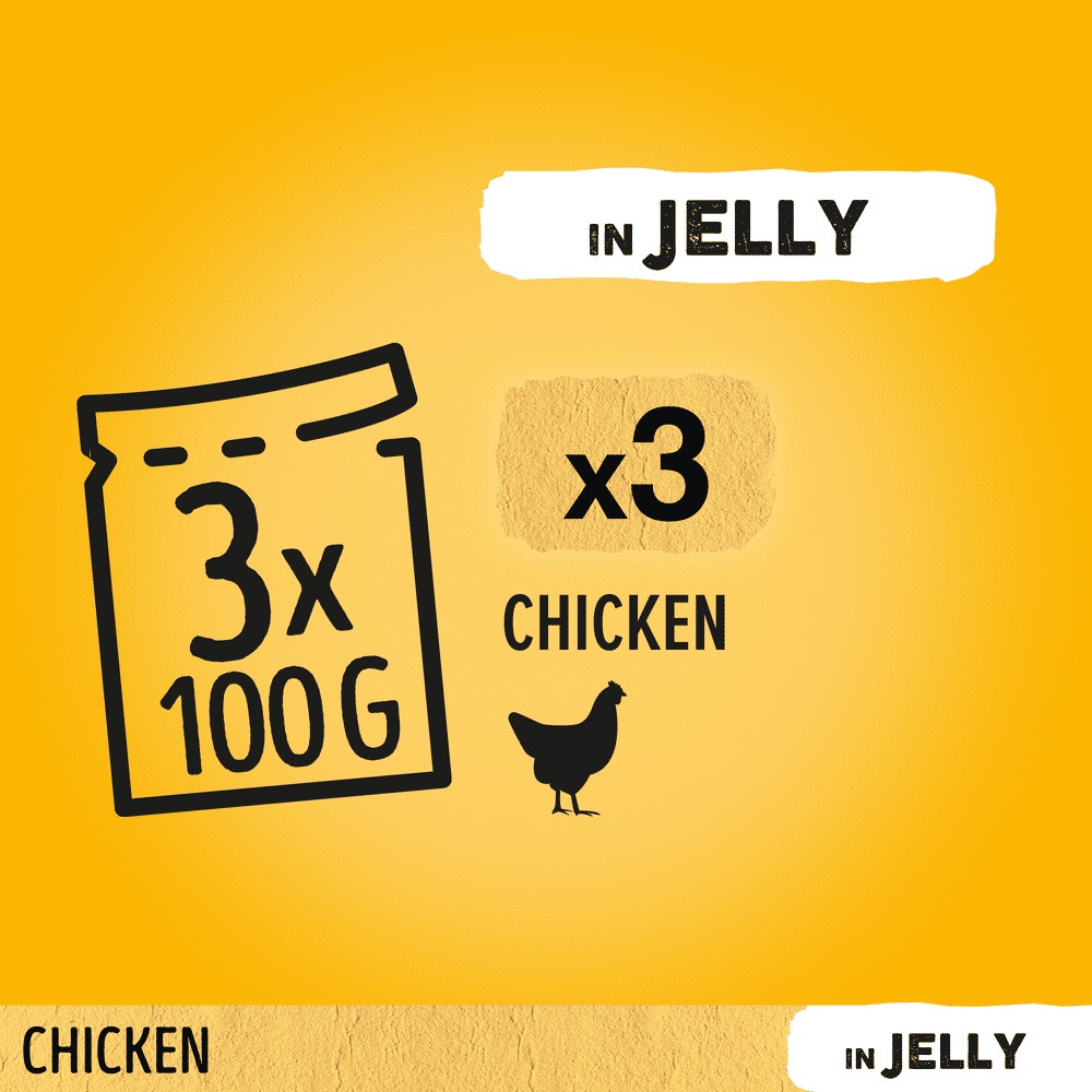 PEDIGREE® Adult Wet Dog Food Pouches Chicken in Jelly 3 x 100g