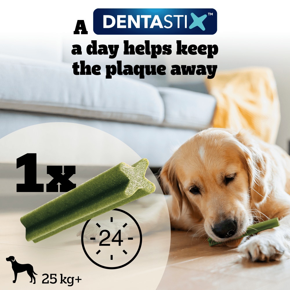 PEDIGREE® DENTASTIX™ Fresh Daily Dental Chews Large Dog Treat 810g,154g