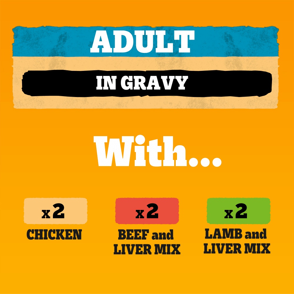 PEDIGREE® Adult Wet Dog Food Mixed Selection in Gravy 6 x 400g Can