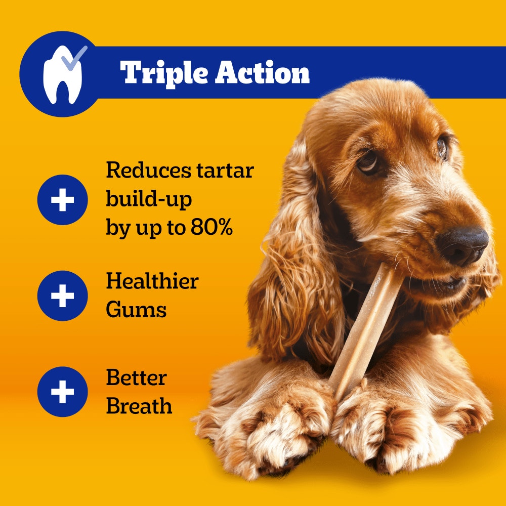 PEDIGREE DENTASTIX Daily Dental Chews Medium Dog 105 Sticks, 56 Sticks, 28 Sticks Chicken & Beef