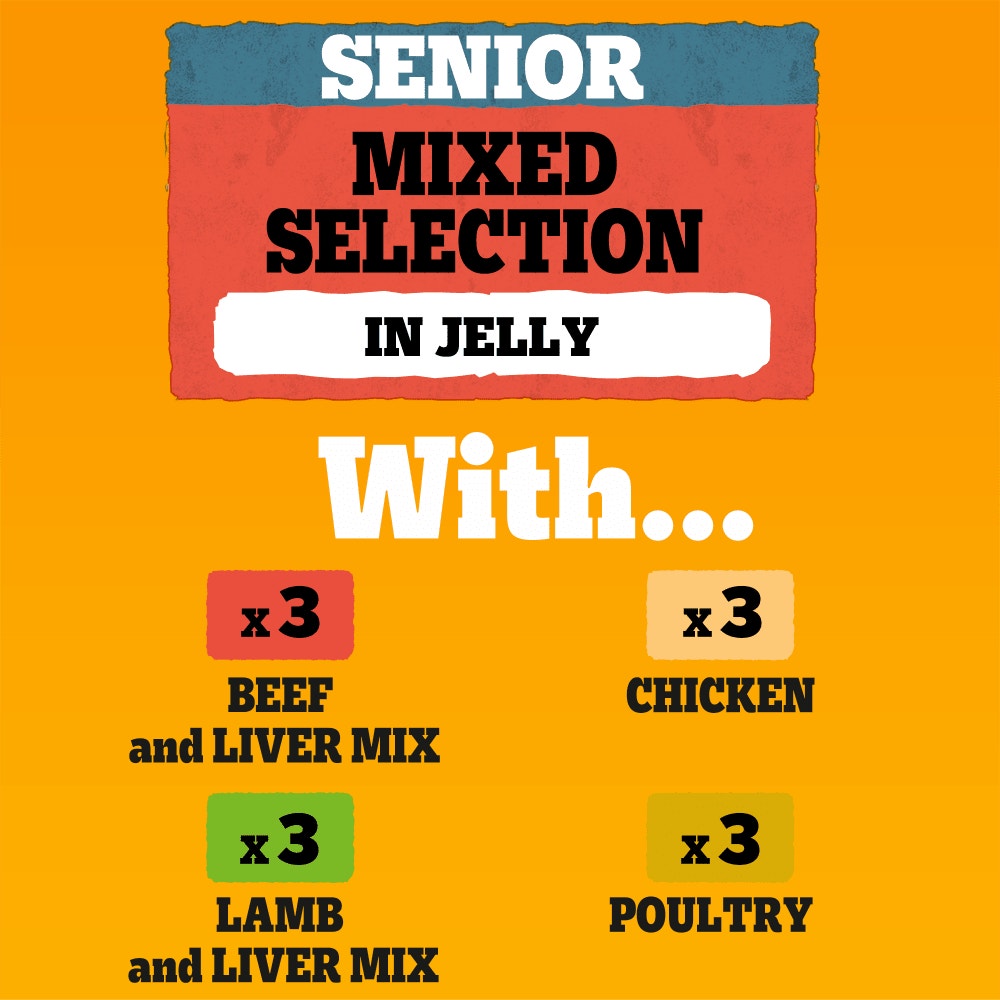 PEDIGREE® Senior Wet Dog Food Mixed Selection In Jelly 12 x 100g, 40 x100g Pouch
