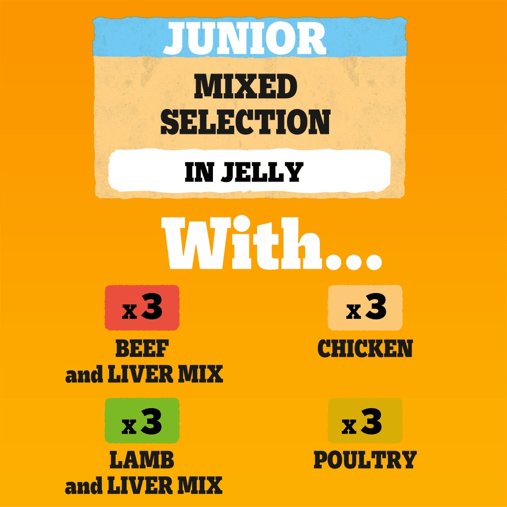 PEDIGREE® Junior Puppy Wet Dog Food Mixed Selection in Jelly Pouch 40 x 100g, 12 x 100g