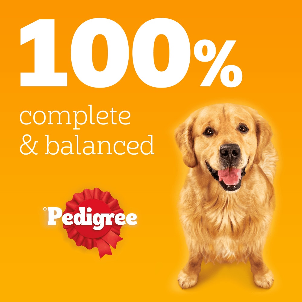 PEDIGREE® Adult Wet Dog Food Original in Loaf 400g Can