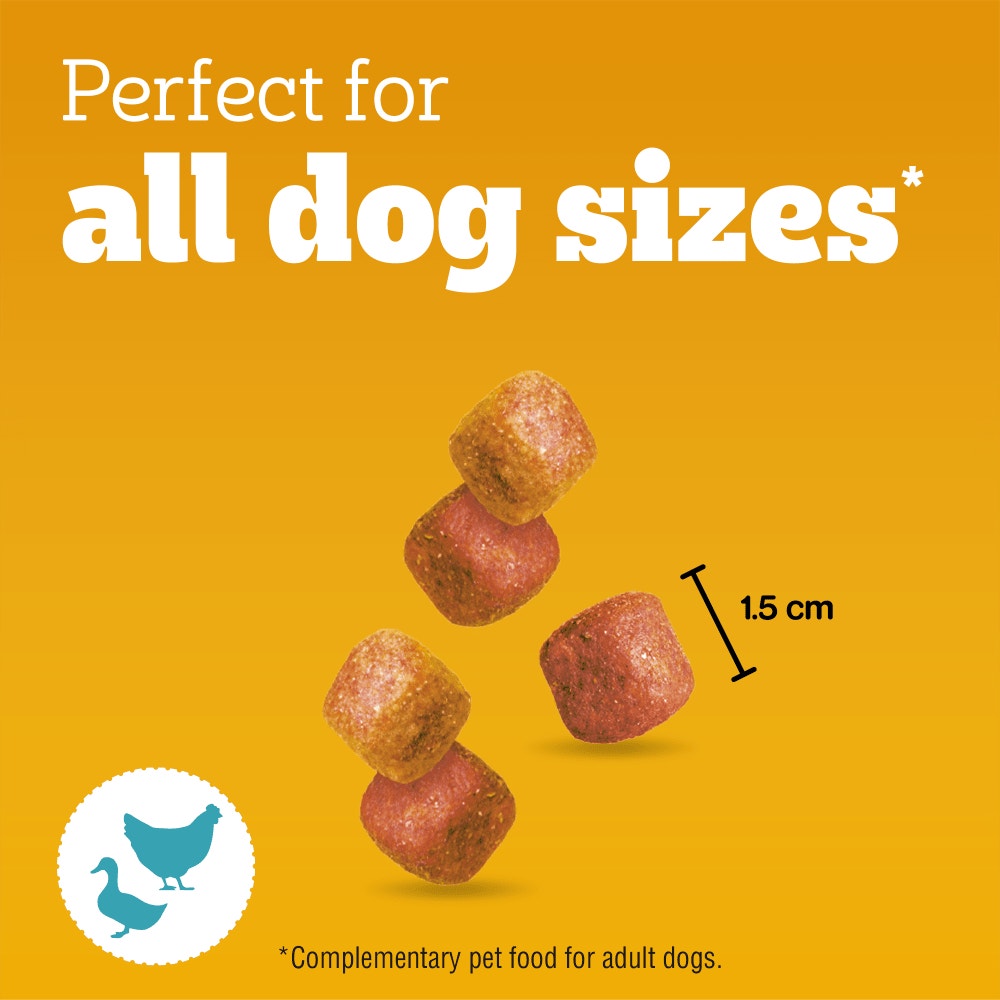 PEDIGREE® TASTY MINIS Adult Dog Treats Chicken & Duck Chewy Cubes 130g
