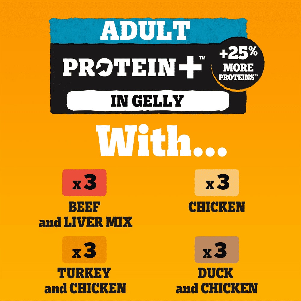 PEDIGREE® PROTEIN +™ Adult Wet Dog Food  Selection in Jelly Pouch 12x85g, 40x85g