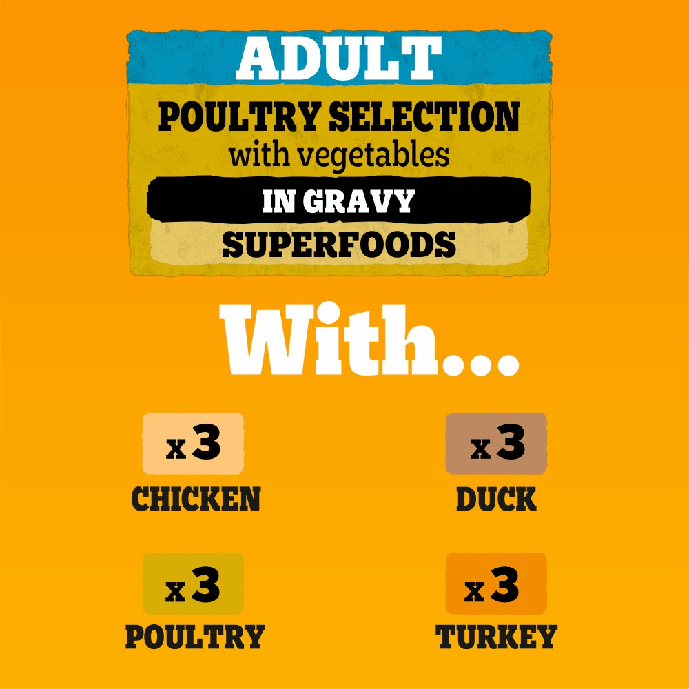 PEDIGREE® Adult Wet Dog Food Poultry Selection in Gravy 12 x 100g Pouch