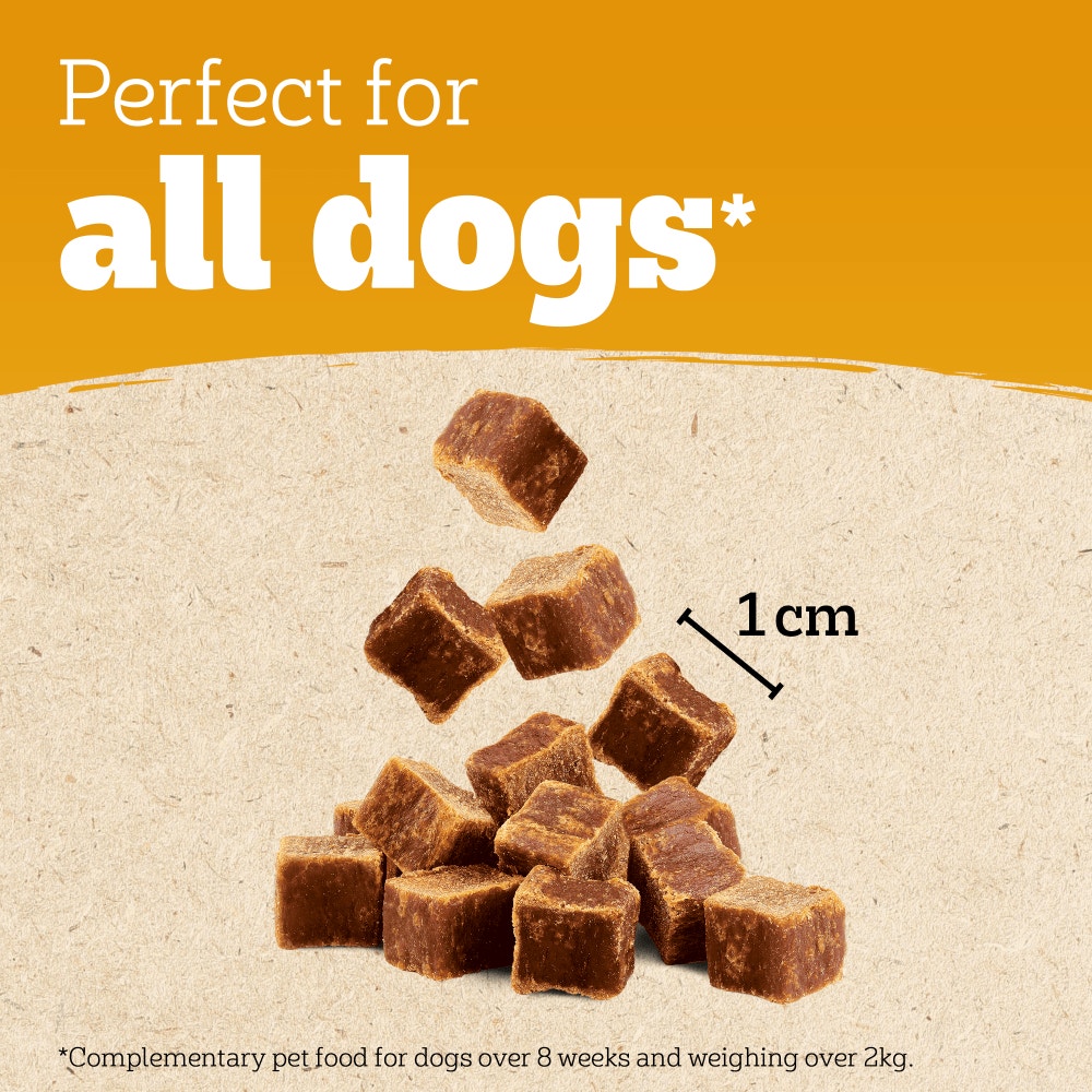 PEDIGREE® RANCHOS™ Dog Training Treat Cubes, With 100% Natural Beef, 70g