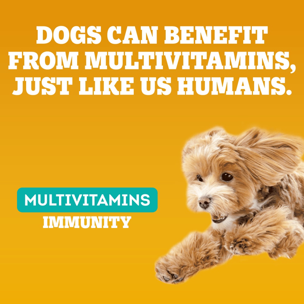 PEDIGREE® Multivitamins Immunity 30 Soft Dog Chews 180g