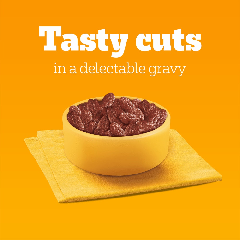 PEDIGREE® Adult Wet Dog Food with Beef & Liver Mix in Gravy 3 x 100g Pouch