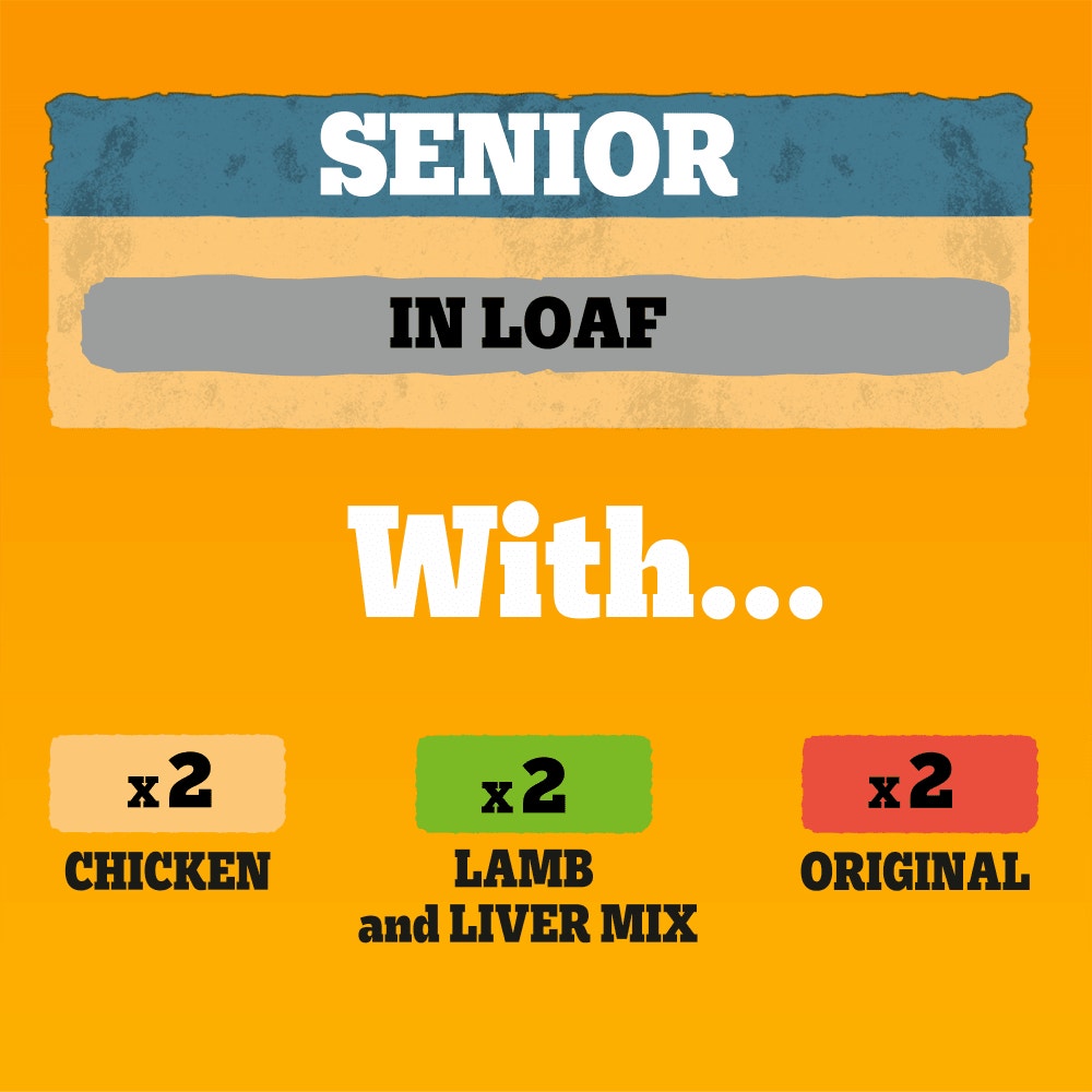 PEDIGREE® Senior Wet Dog Food Mixed Selection in Loaf 6 x 400g Cans
