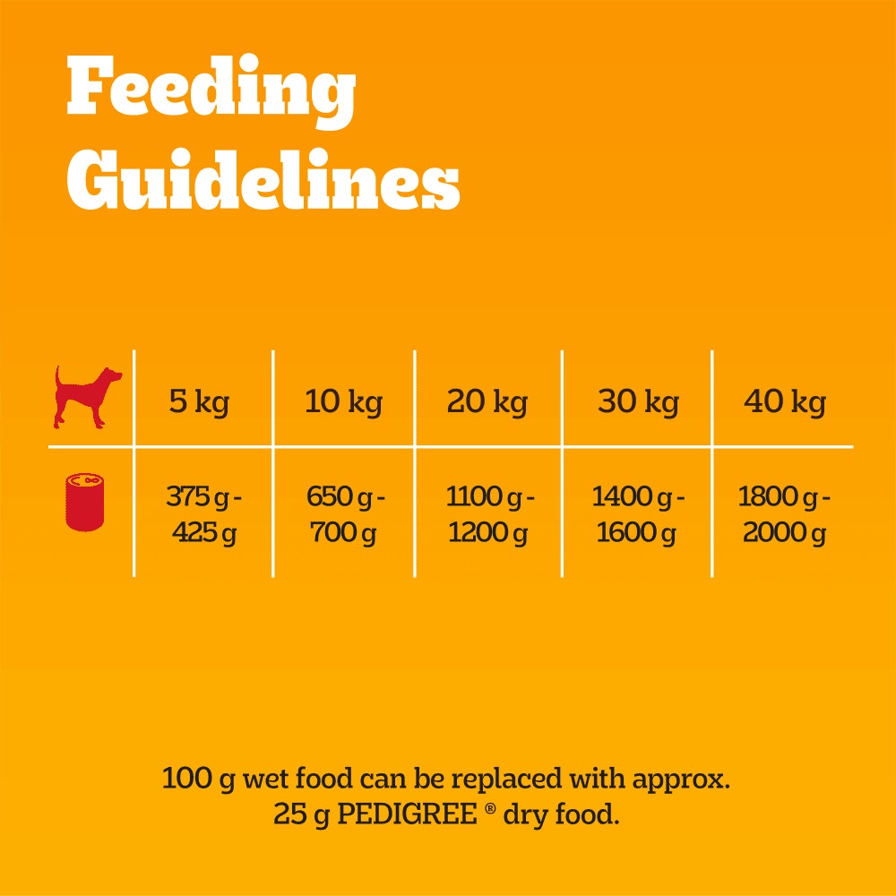 PEDIGREE® Adult Wet Dog Food Mixed Selection in Gravy 6 x 400g Can