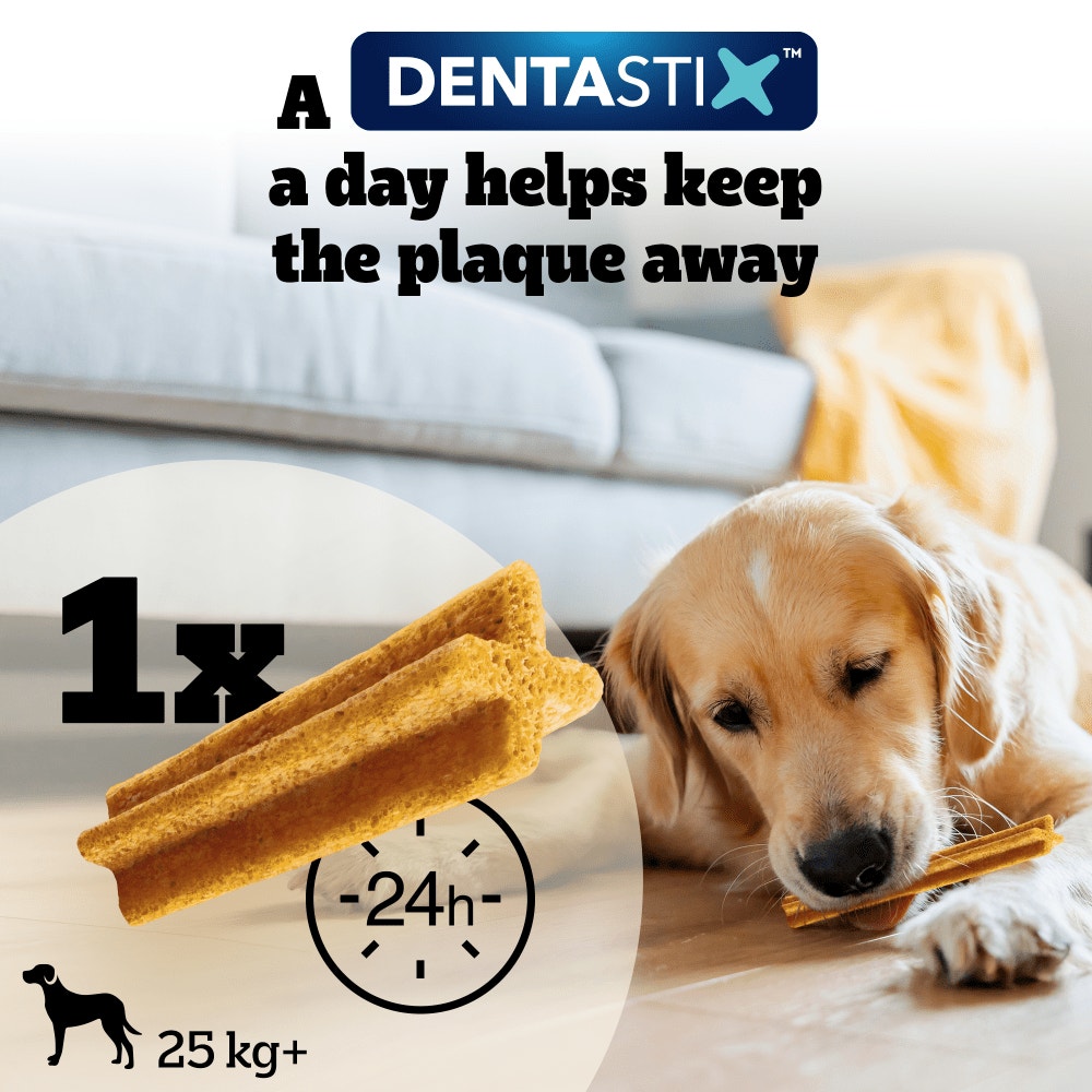 PEDIGREE® DENTASTIX™ Light Daily Dental Chews Large Dog Treats 4 & 21 Sticks