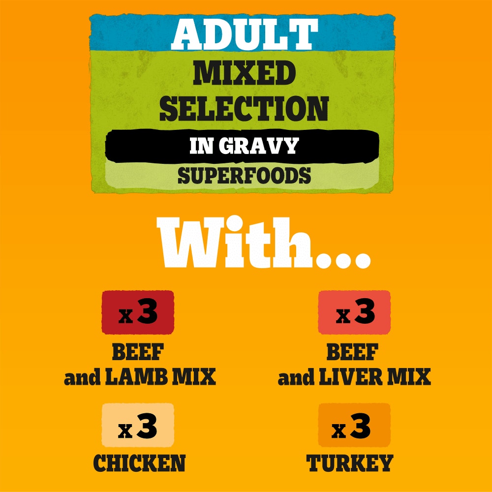 PEDIGREE® Adult Wet Dog Food Mixed Selection in Gravy Pouch 80 x 100g,40 x 100g,12 x 100g