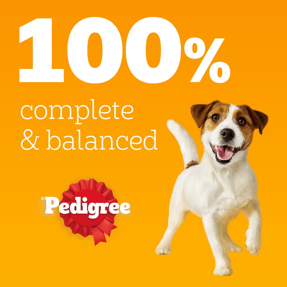 PEDIGREE® Adult Wet Dog Food with Beef & Liver Mix in Gravy 3 x 100g Pouch